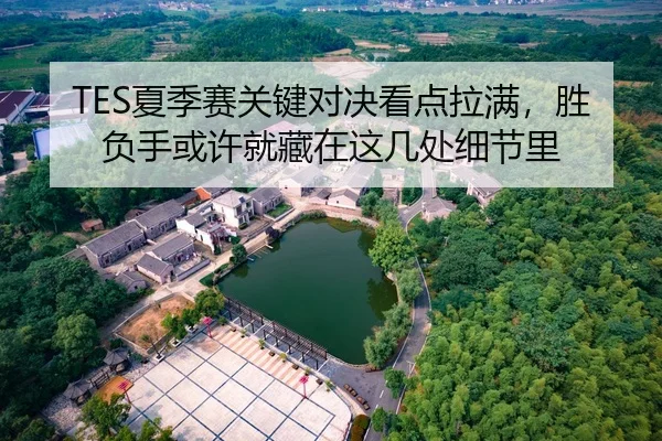TES夏季赛关键对决看点拉满，胜负手或许就藏在这几处细节里 | HTH